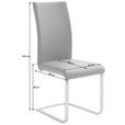 SCHWINGSTUHL in Edelstahl Lederlook - Edelstahlfarben/Creme, Design, Textil/Metall (42/102/58cm) - Novel