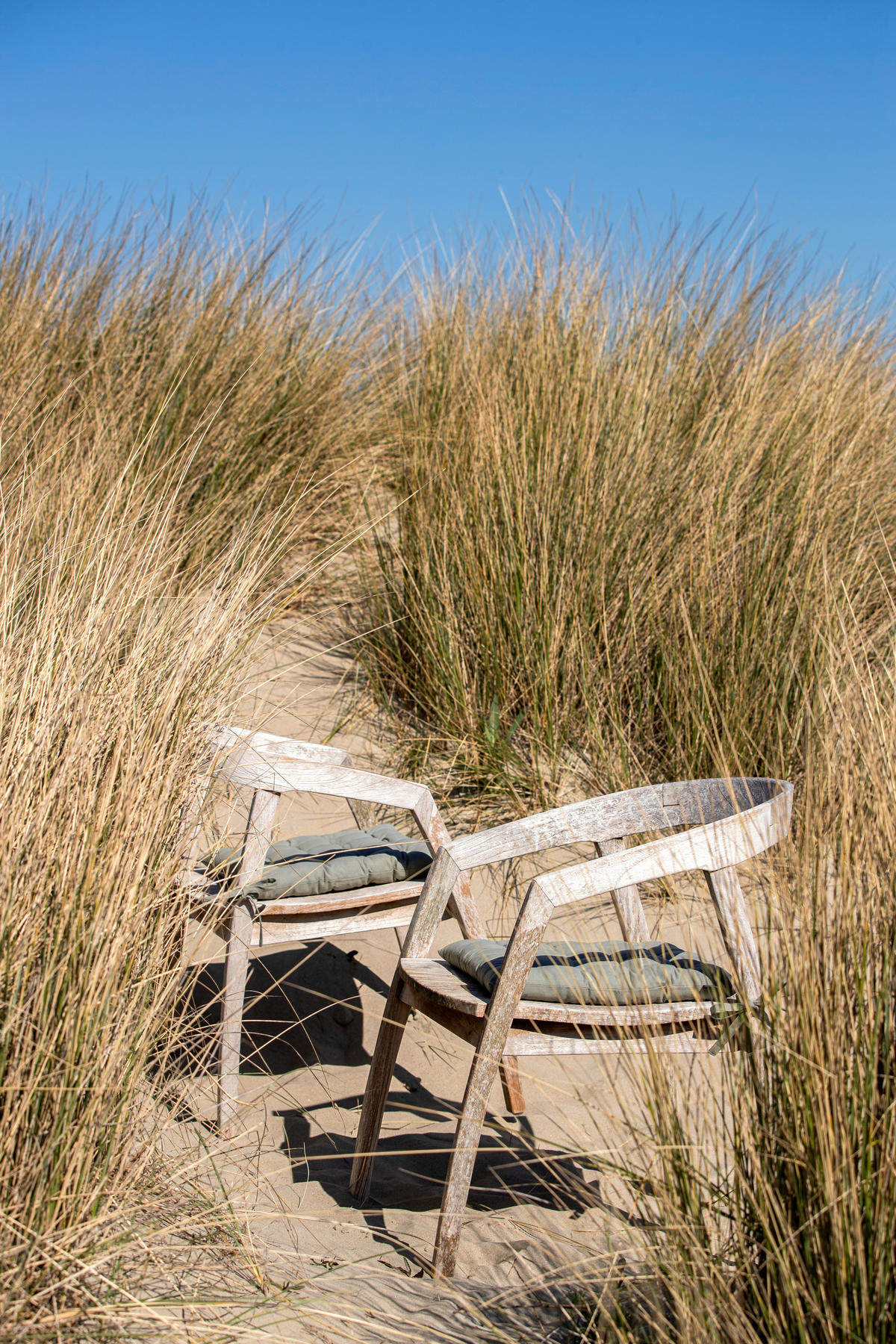 SITZKISSEN  40/40 cm   - Olivgrün, Basics, Textil (40/40cm)