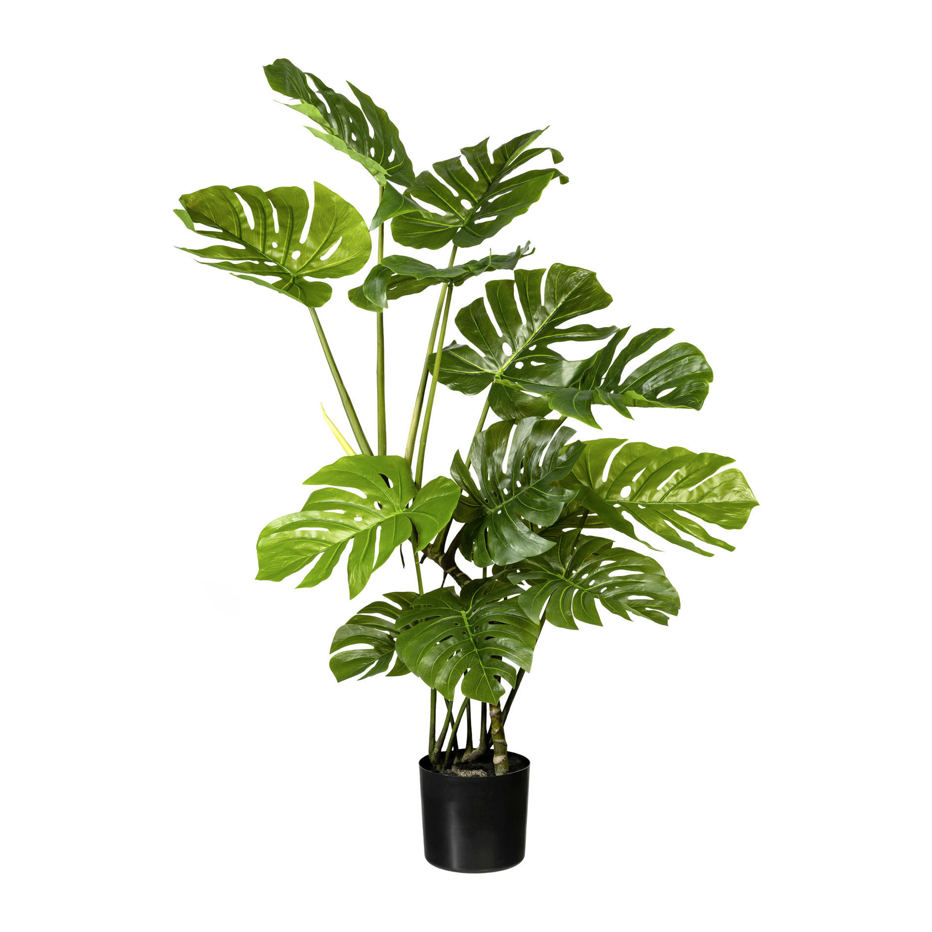 KUNSTPFLANZE Split Philodendron  - Schwarz/Grün, Trend, Kunststoff (130cm) - MID.YOU