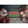 KOKOSMATTE 45/75 cm Mix Mats  - Multicolor, Basics, Naturmaterialien/Kunststoff (45/75cm) - Esposa