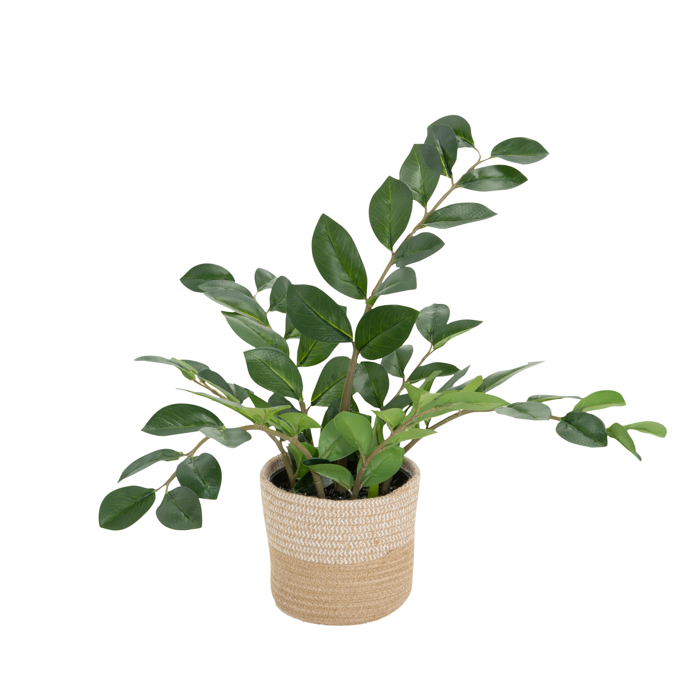 KONSTVÄXT malvasläkte  - grön/ljusbrun, Basics, textil/plast (50/50/50cm) - MID.YOU
