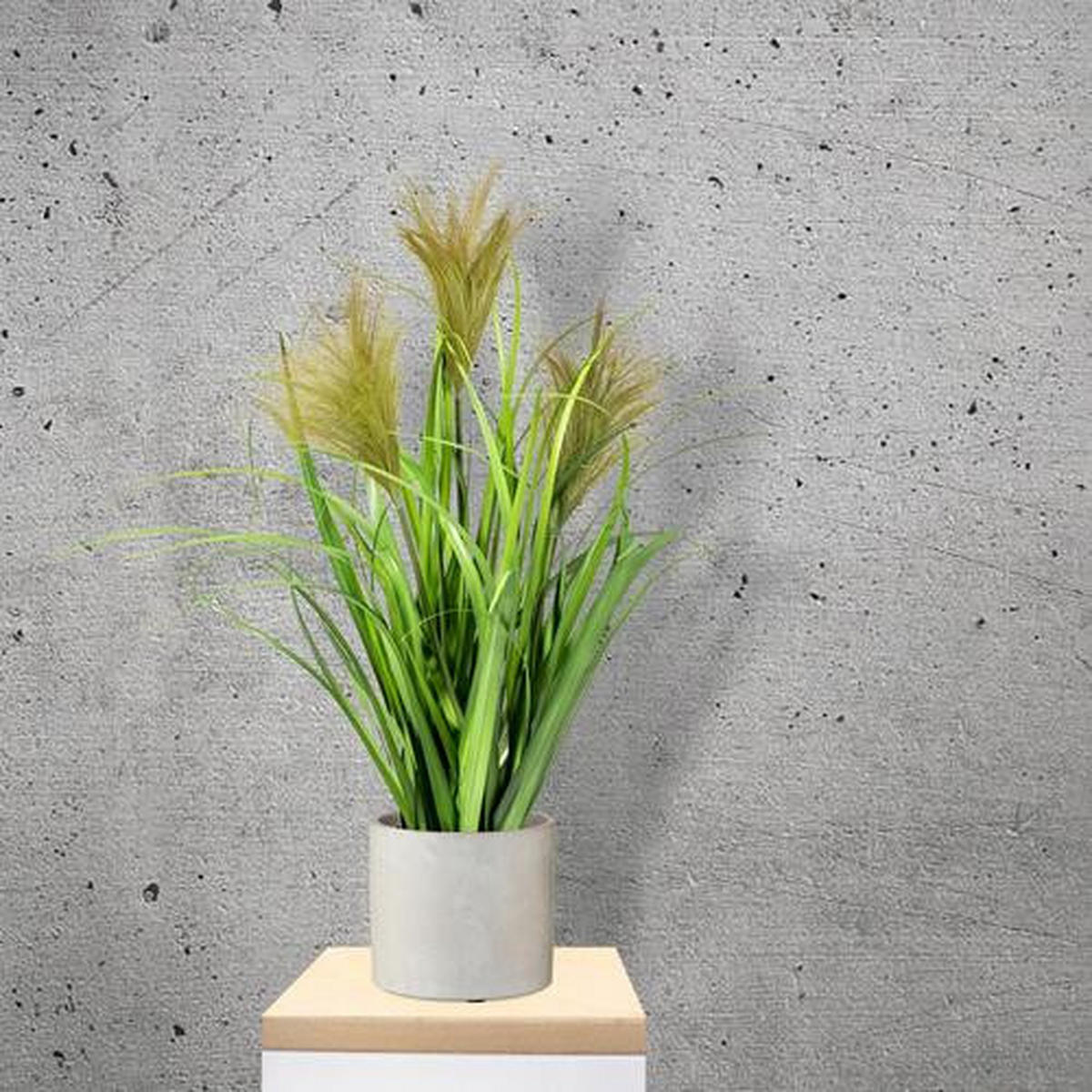 SCHILFGRAS Schilfgras  - Schwarz/Grün, Basics, Kunststoff (60cm) - P & B