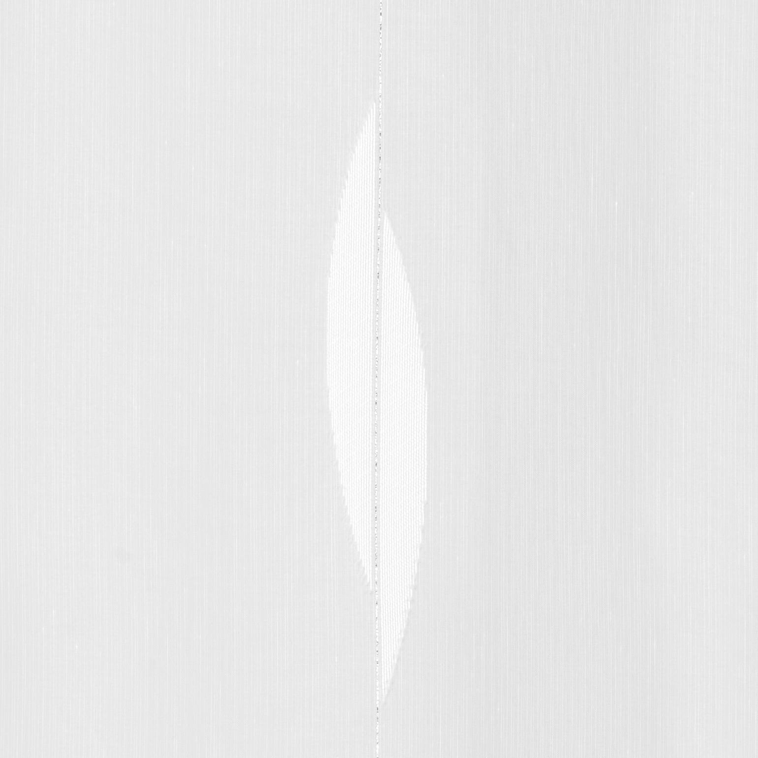 PROSOJNO BLAGO ZA ZAVESE  2024          300 cm   bela  - bela, Basics, tekstil (300cm)