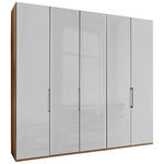 DREHTÜRENSCHRANK  in Weiß, Eiche Bianco  - Schieferfarben/Eiche Bianco, KONVENTIONELL, Glas/Holzwerkstoff (250/236/58cm) - Dieter Knoll