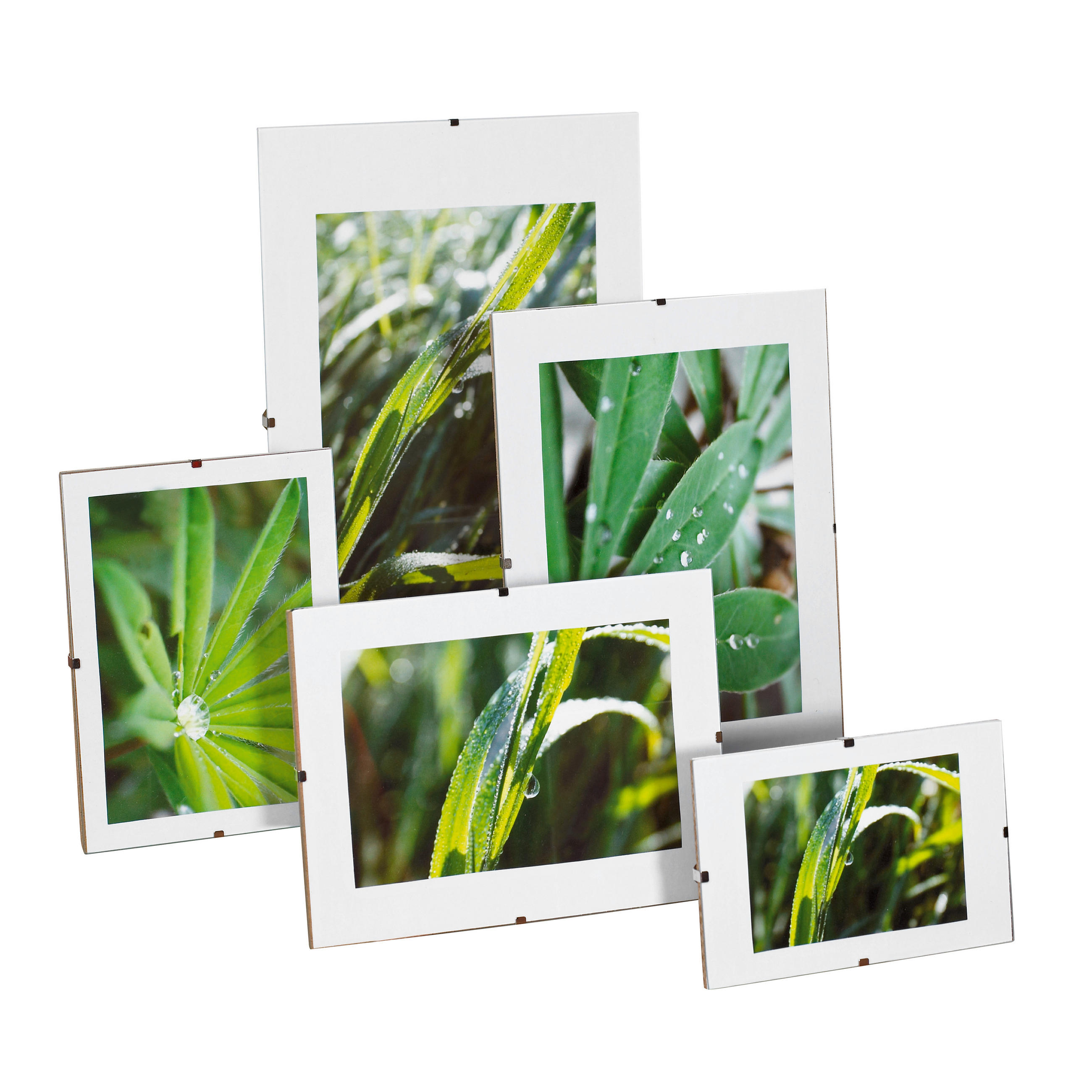 Cliprahmen Levi, 50x70cm