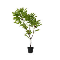 Plantă Artificială - Basics (50,00/45,00/85,00cm)