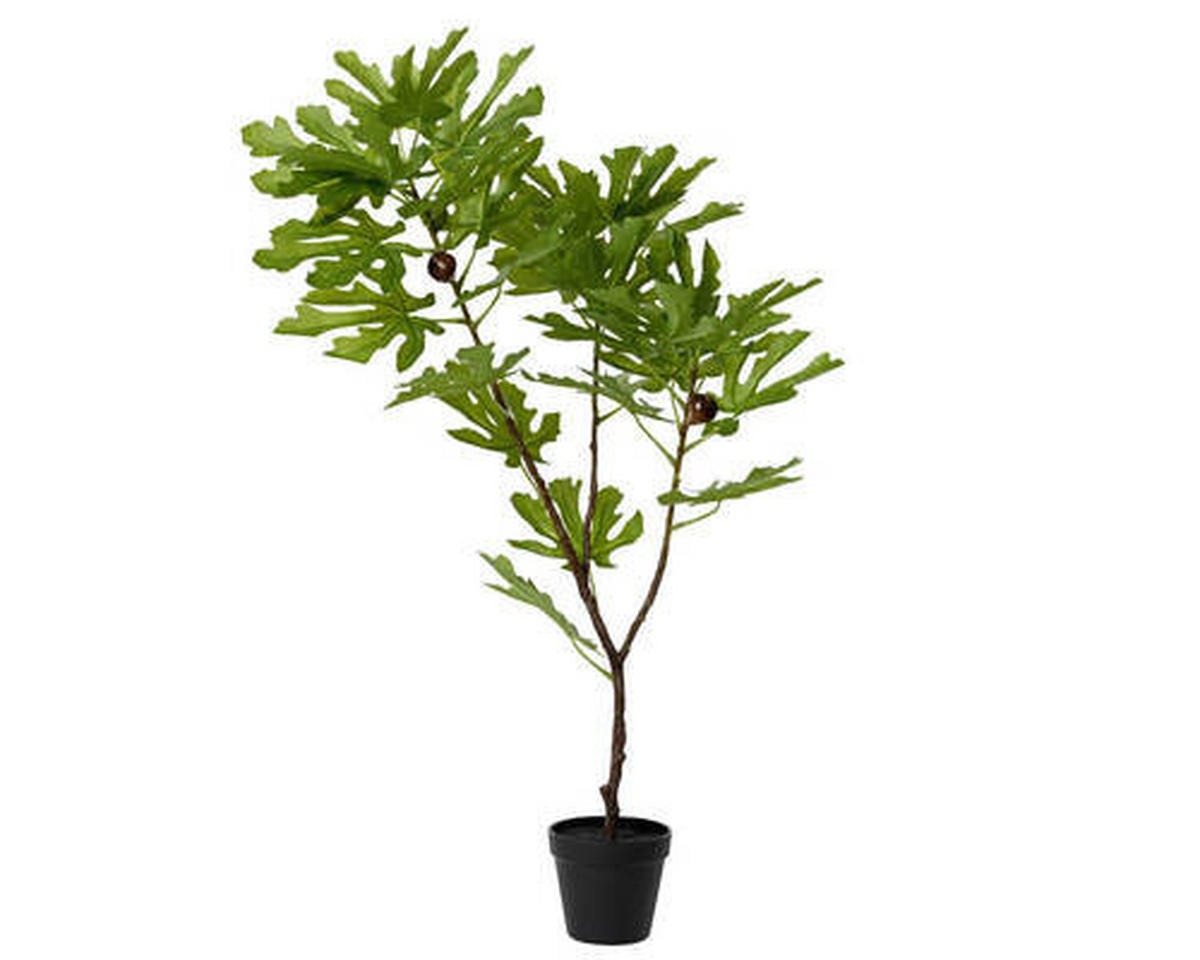 Plantă Artificială - Basics (50,00/45,00/85,00cm)