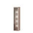 VITRINE in Eichefarben - Eichefarben/Alufarben, Basics, Glas/Holzwerkstoff (37,8/176/40,4cm) - Xora VITRINE in Eichefarben - Eichefarben/Alufarben, Basics, Glas/Holzwerkstoff (37,8/176/40,4cm) - Xora