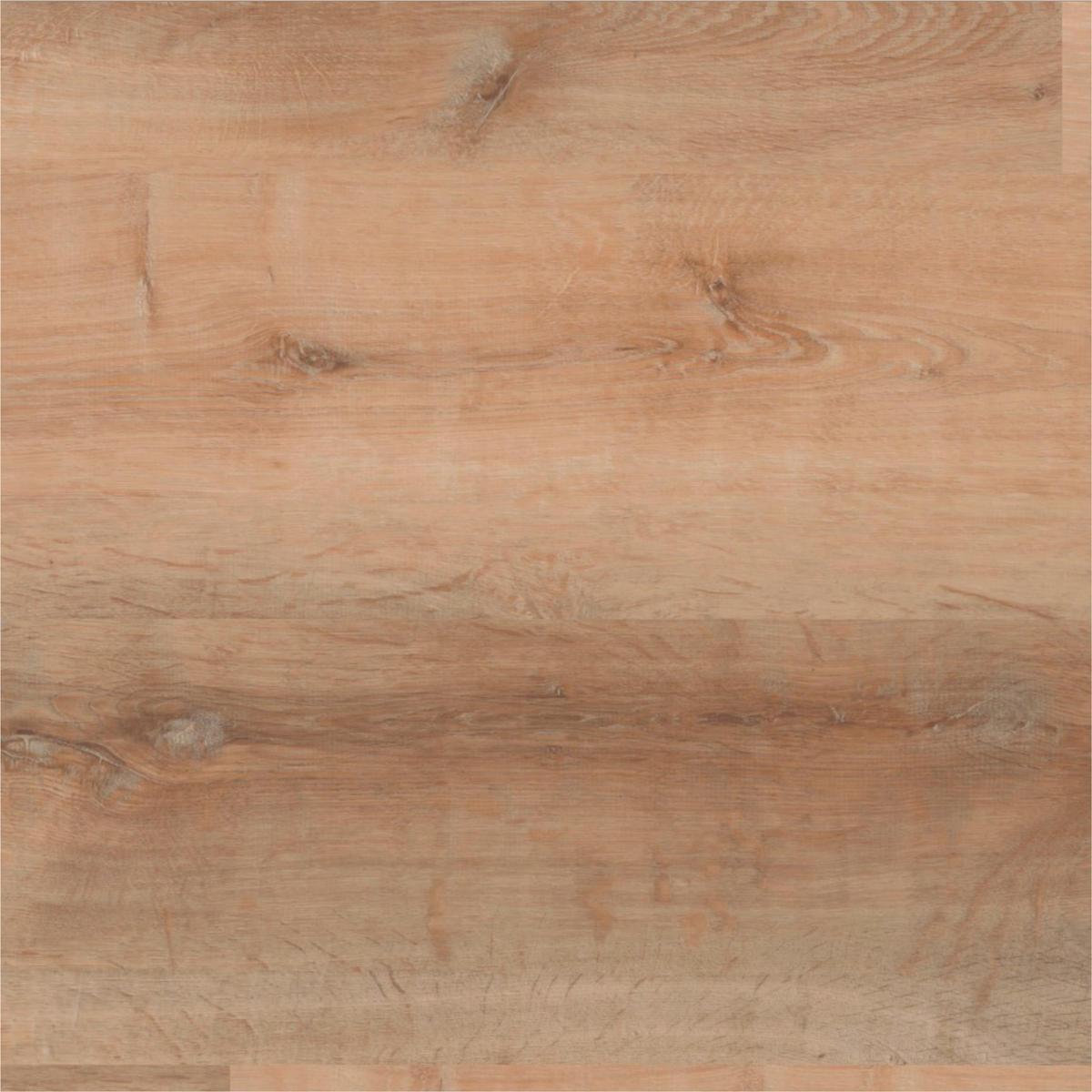 DESIGNBODEN More+  per  m² - Hellbraun/Eichefarben, Basics, Kunststoff (121/22/0,5cm)