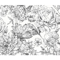 NON WOVEN-TAPET 300/250 cm  - vit/svart, Basics (300/250cm) - Komar