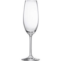SKLENICE NA SEKT - čiré, Basics, sklo (0,230l) - Novel
