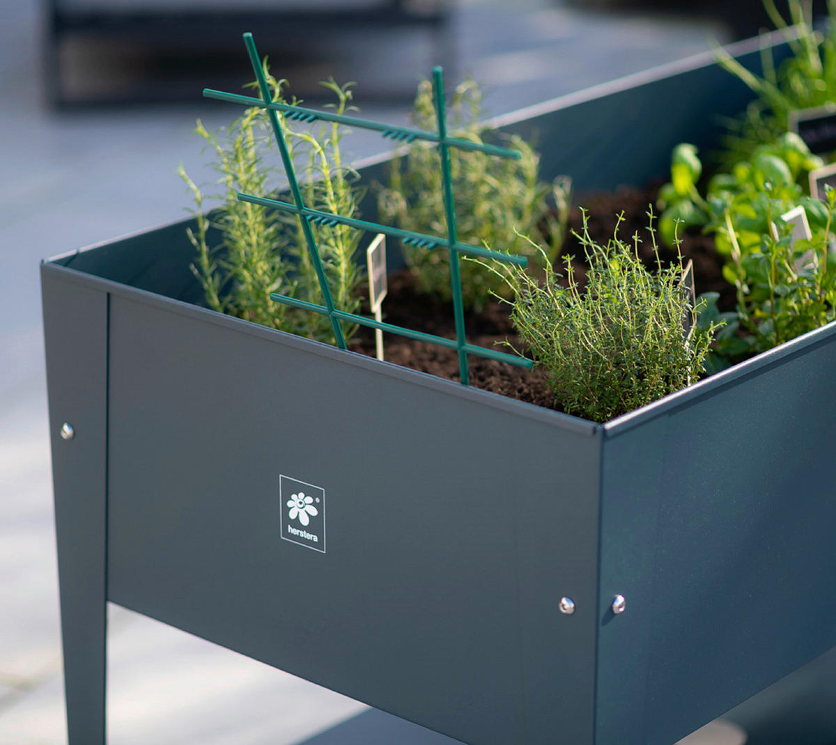 HOCHBEET  - Anthrazit, Basics, Metall (60/80/120cm) - Ambia Garden