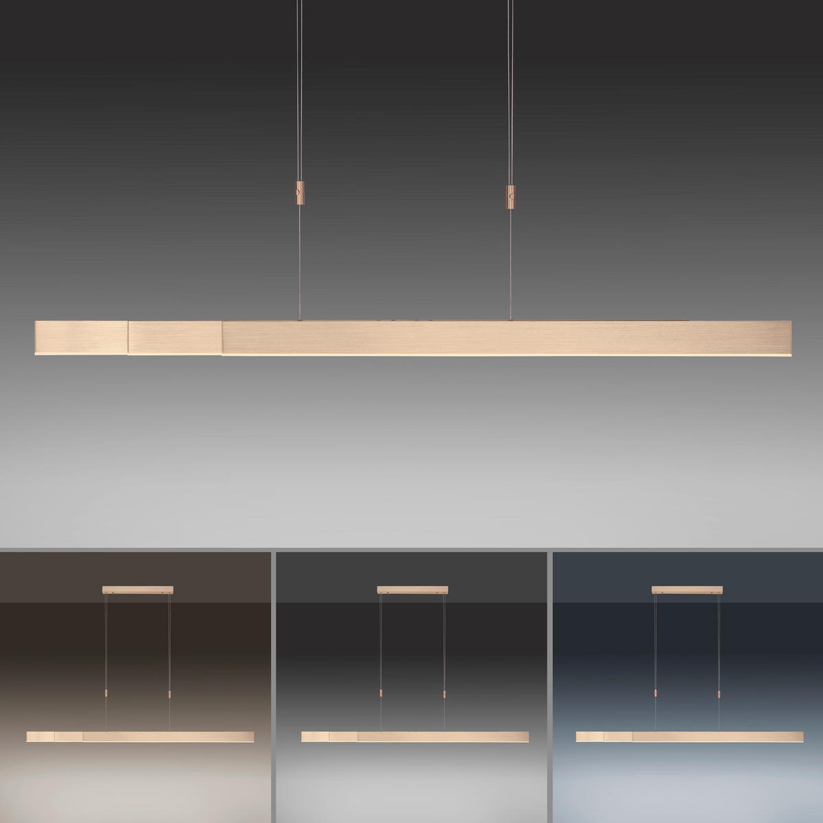 LAMPĂ SUSPENDATĂ CU LED 110-200/5,5/110-200 cm  - Design, plastic/metal (110-200/5,5/110-200cm)