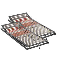 LATTENROSTSET TOPFORM SPRINT KF 160/200 cm Kopfteil, Fußteil verstellbar, Birke  - Graubraun/Rot, Basics, Holz (160/200cm) - Novel
