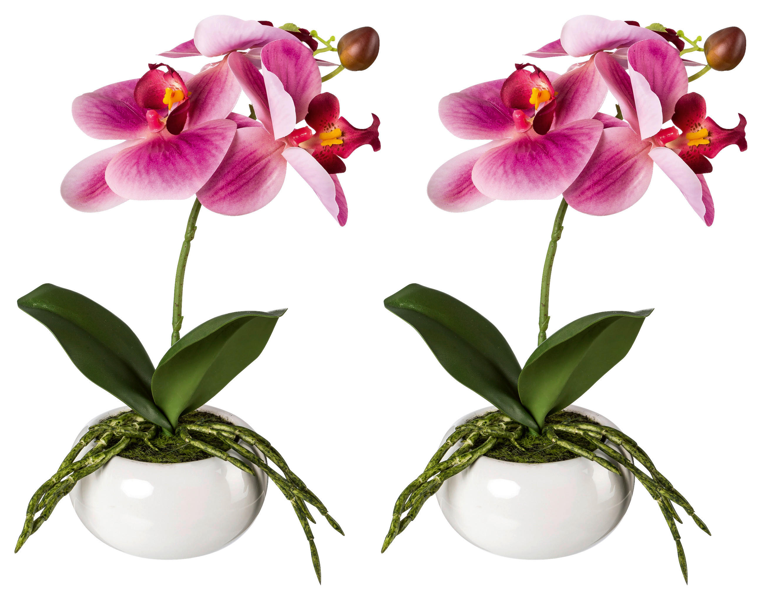 KUNSTPFLANZE Orchidee 27 cm  - Dunkelrosa/Rosa, Design, Keramik/Kunststoff (27cm) - P & B