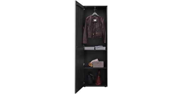 GARDEROBENSCHRANK 60/196/39 cm - Anthrazit/Schwarz, Design, Glas/Holz (60/196/39cm) - Johann Jakob