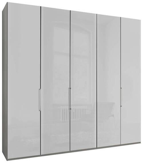 FALTTÜRENSCHRANK in Grau, Weiss  - Chromfarben/Weiss, Konventionell, Glas/Holzwerkstoff (250/216/58cm) - Dieter Knoll