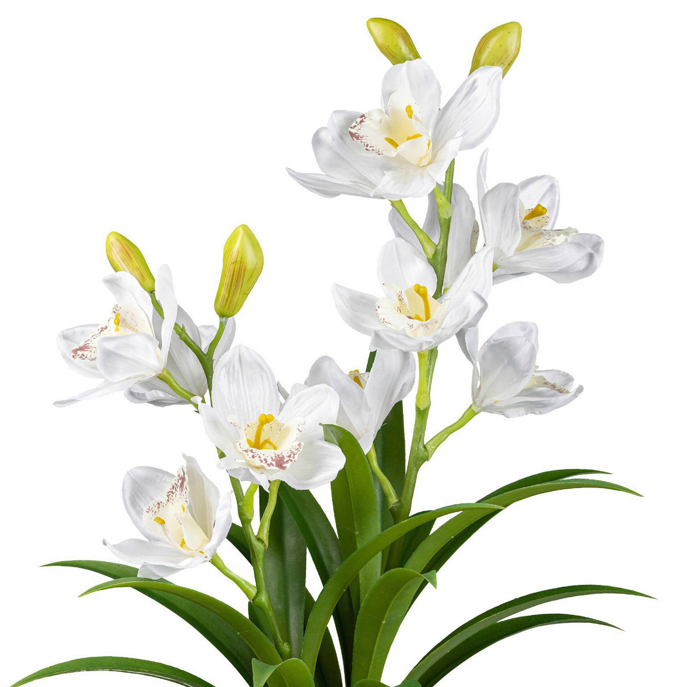 KUNSTPFLANZE Orchidee 58 cm  - Weiß/Grau, Design, Kunststoff (58cm) - P & B