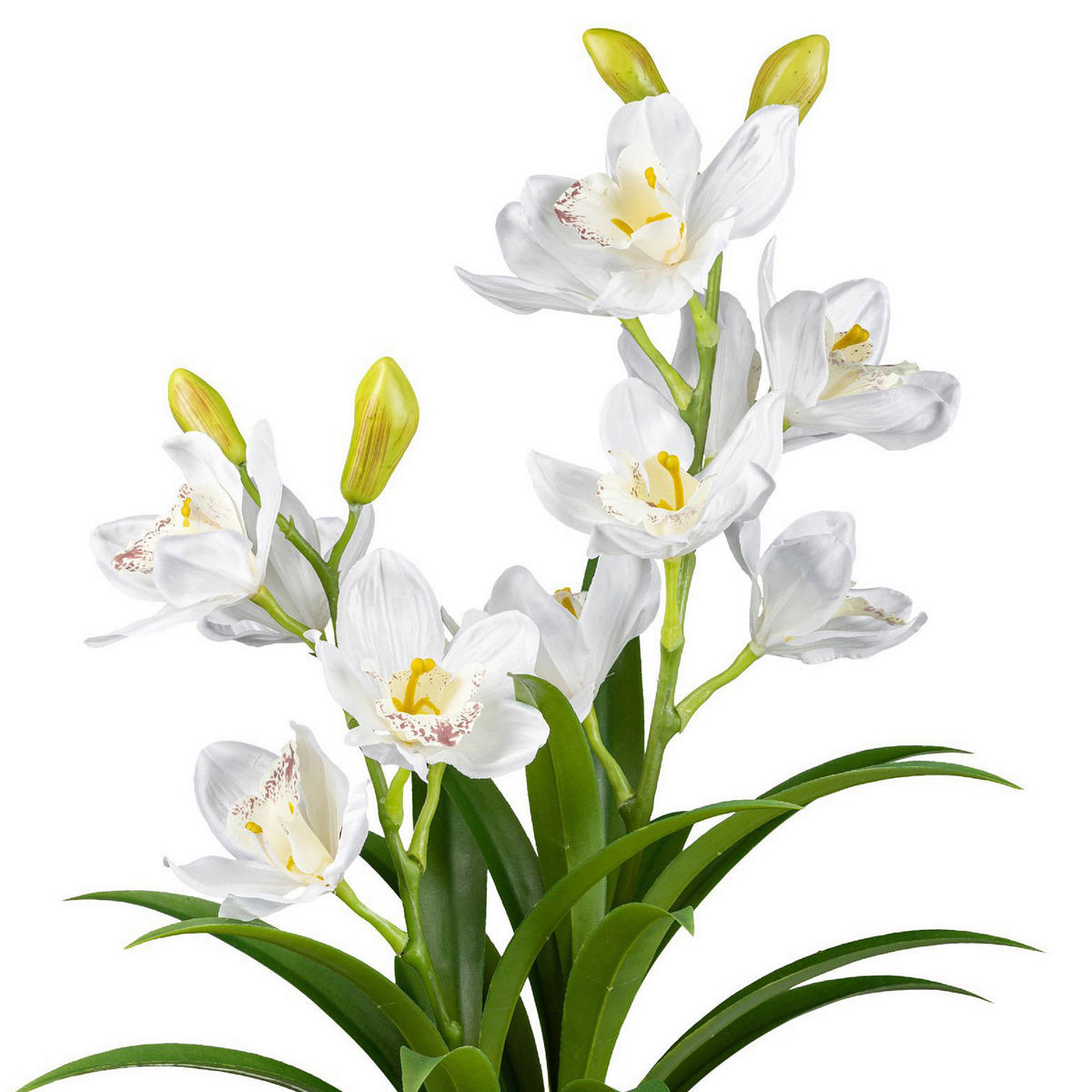 KUNSTPFLANZE Orchidee 58 cm  - Weiß/Grau, Design, Kunststoff (58cm) - P & B