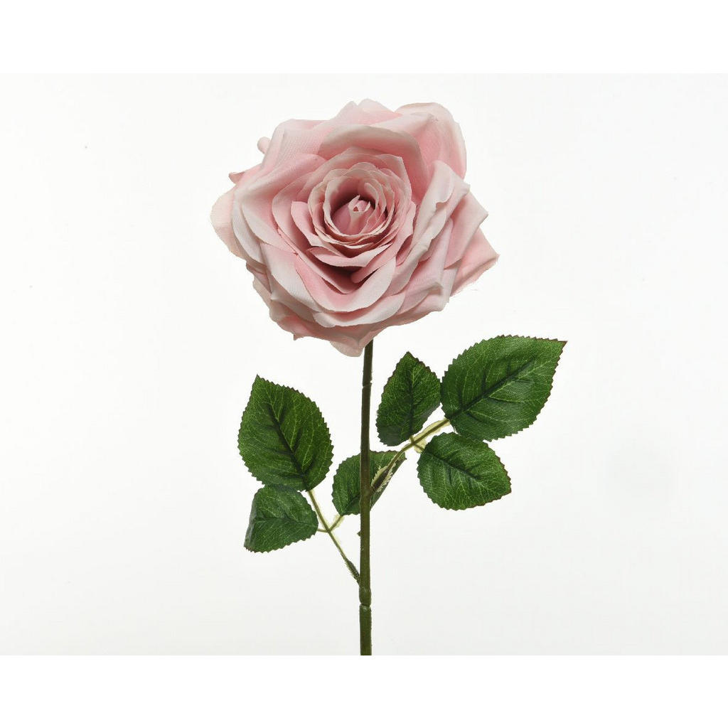 RUŽA 53 cm - ružová