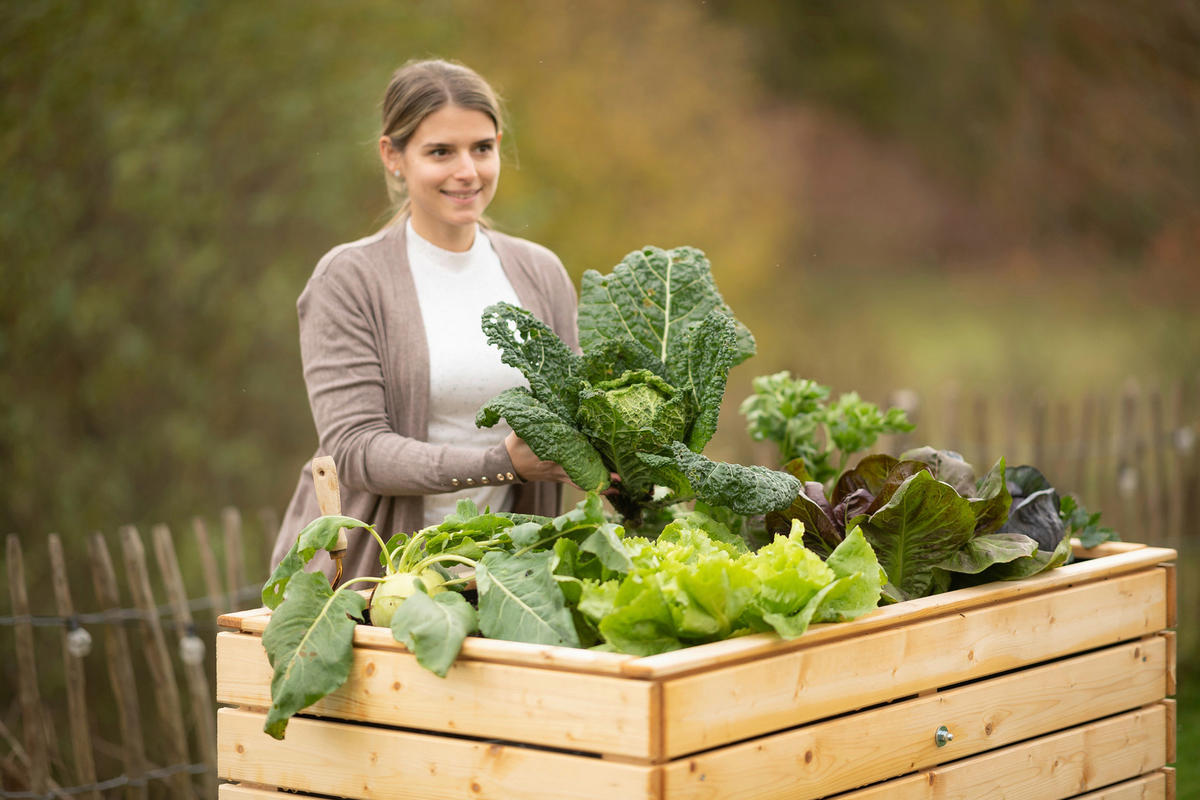 VYVÝŠENÝ ZÁHON   - farba smreka, Basics, drevo (70/90/130cm)