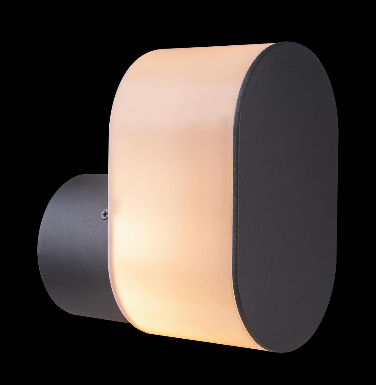 ZUNANJA STENSKA SVETILKA  Salli   12/17,5/20 cm          - antracit, Basics, kovina/umetna masa (12/17,5/20cm)