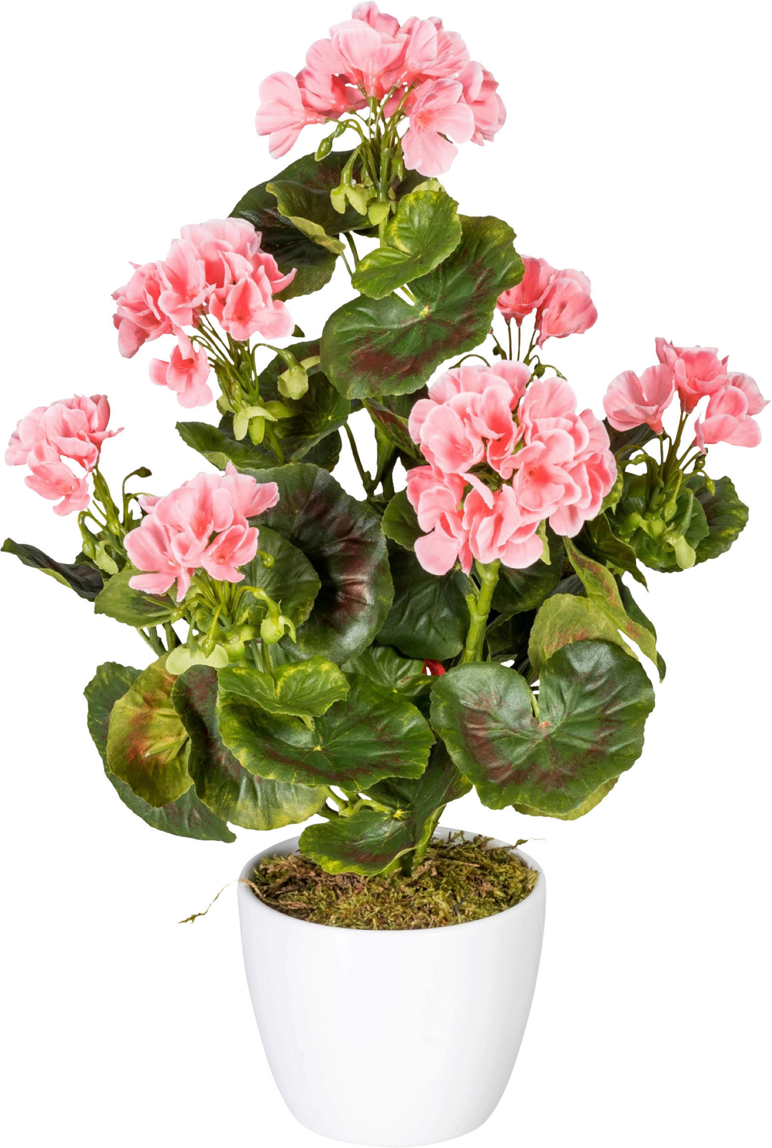KUNSTPFLANZE Geranie 40 cm - Rosa/Weiß, Design, Keramik/Kunststoff (40cm) - P & B
