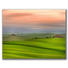 Landschaft & Natur ACRYLGLASBILD - Multicolor, Basics, Kunststoff (65/50cm) - Wiedemann Landschaft & Natur ACRYLGLASBILD - Multicolor, Basics, Kunststoff (65/50cm) - Wiedemann