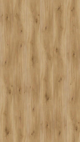 Laminatboden Eiche Natur Basic 600  per  m² - Hellbraun/Eichefarben, KONVENTIONELL, Holzwerkstoff (128,5/24,3/0,8cm) - Parador