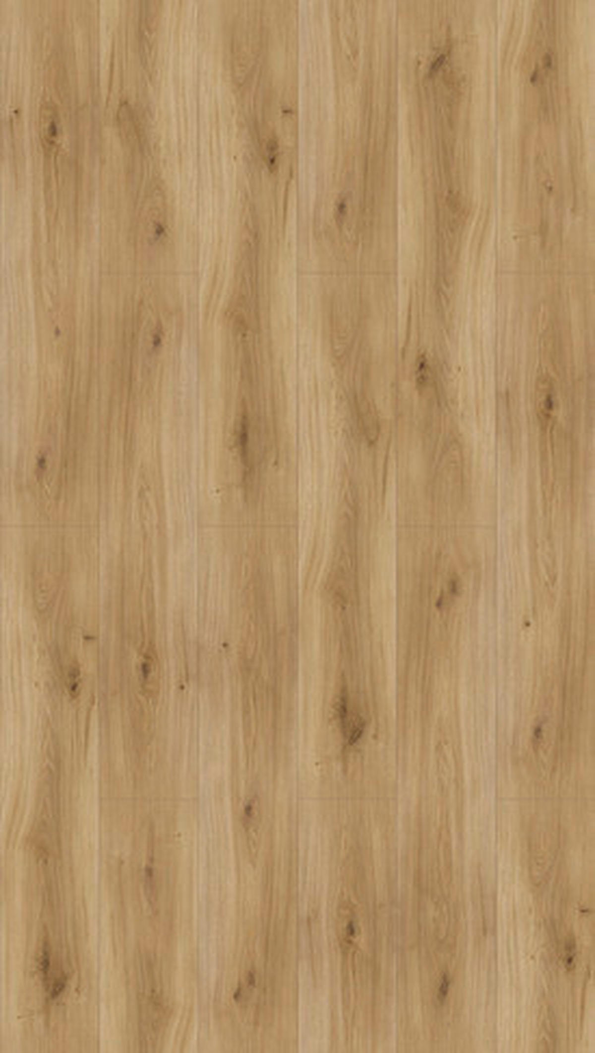 LAMINATBODEN Basic 600  per  m² - Hellbraun/Eichefarben, KONVENTIONELL, Holzwerkstoff (128,5/24,3/0,8cm) - Parador