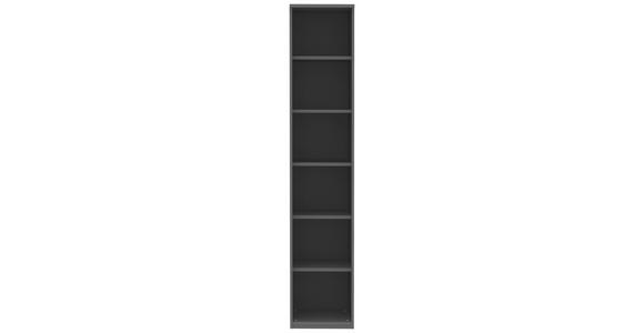 AKTENREGAL Anthrazit - Anthrazit, KONVENTIONELL, Holzwerkstoff (40/217/43cm) - Moderano