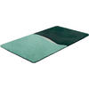 BADEMATTE Mintgrün 60/100 cm  - Mintgrün, Basics, Kunststoff/Textil (60/100cm) - Grund