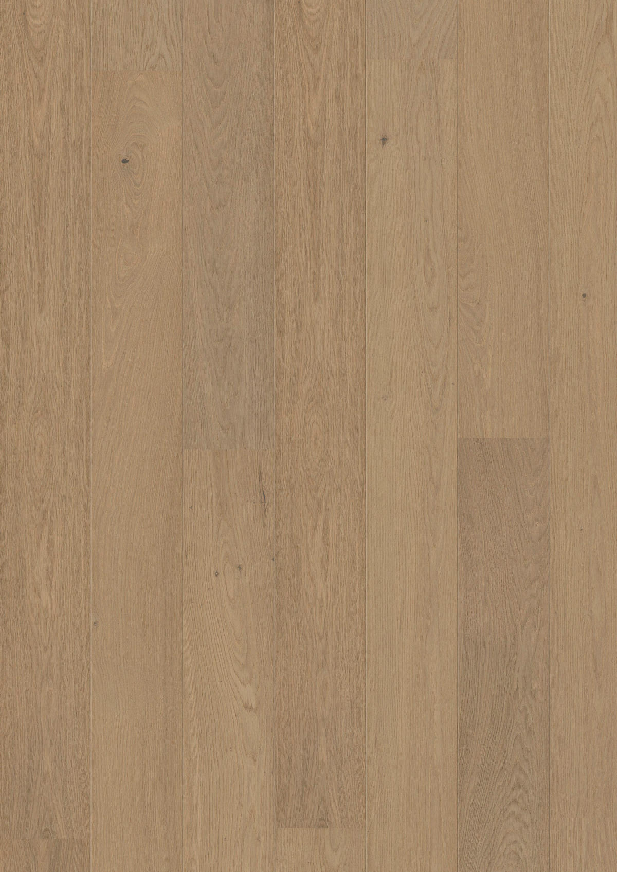 LANDHAUSDIELE Puristico Trend Eiche Crema!Pur 100013301  per  m² - Design, Holz (220,5/17,6/1,3cm) - Tilo
