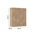 DREHTÜRENSCHRANK 201/223/60 cm 4-türig Sonoma Eiche  - Silberfarben/Sonoma Eiche, Design, Holzwerkstoff/Kunststoff (201/223/60cm) - Novel