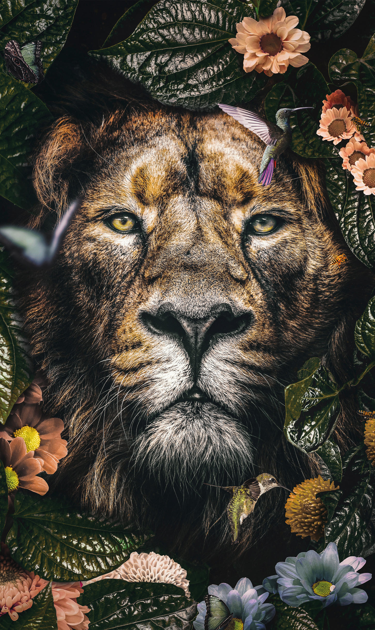 Wandkraft Bild The Lion Mehrfarbig 70x118x5 cm