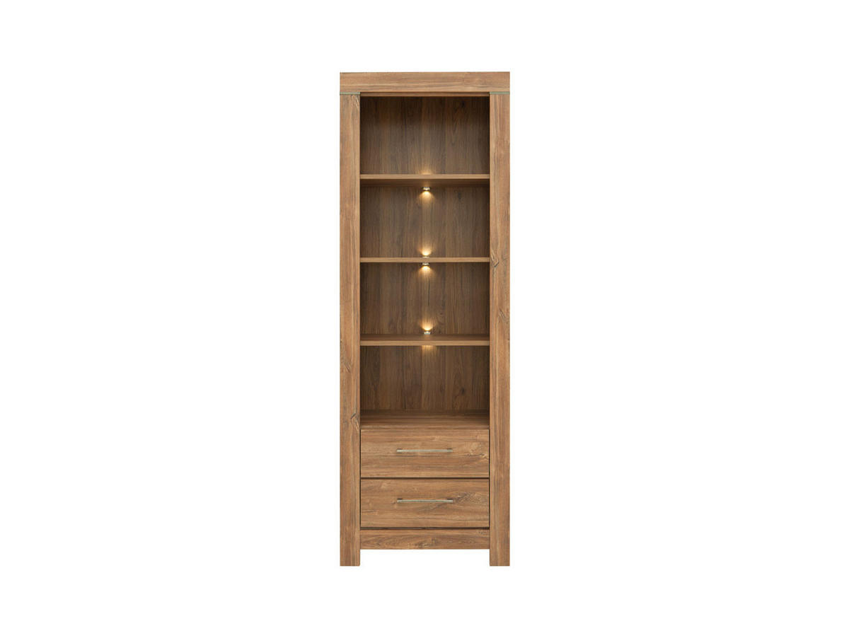 STOJACÍ REGÁL, barvy dubu, 68/200,5/42 cm - barvy dubu/barvy niklu, Design, kov/kompozitní dřevo (68/200,5/42cm) - Welnova