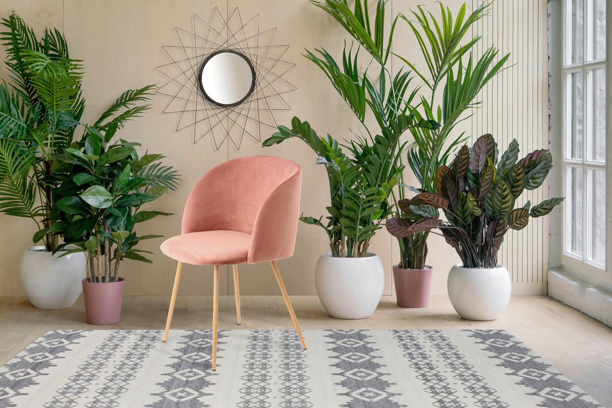 STUHL-SET 2 Stück  in Stahl  - Rosa, Design, Kunststoff/Metall (54/84/56cm) - Kayoom