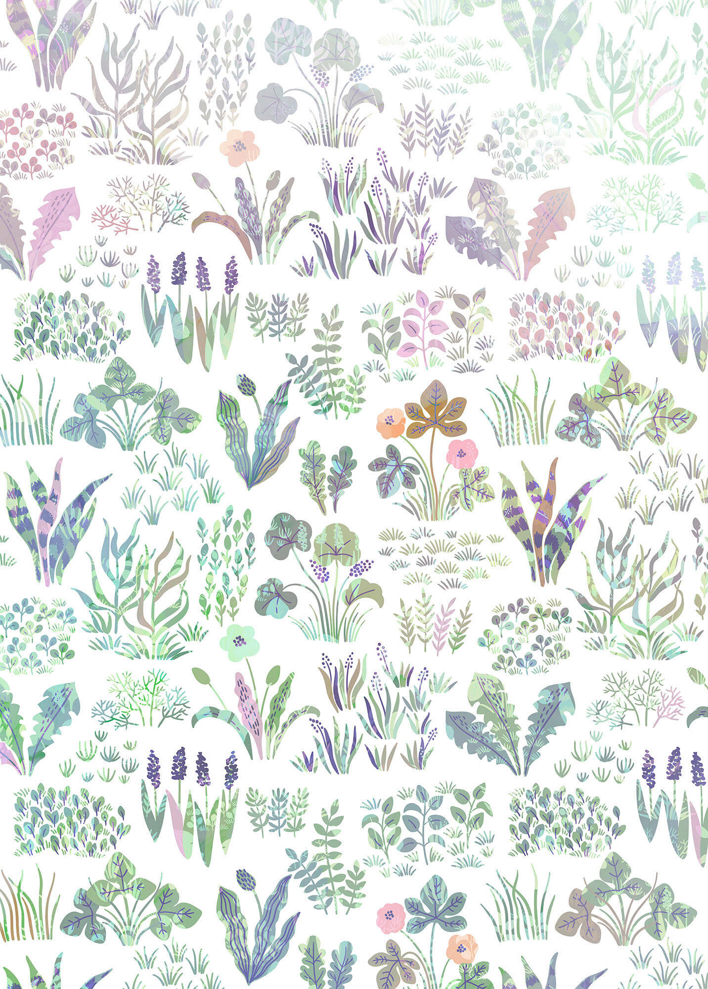 Fototapete Flower Farm