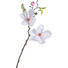 KUNSTBLUME - Pink/Creme, Basics, Kunststoff/Textil (50cm) KUNSTBLUME - Pink/Creme, Basics, Kunststoff/Textil (50cm)
