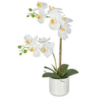 KUNSTBLUME - Weiß/Grün, Basics, Keramik/Kunststoff (58cm)