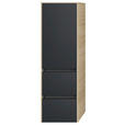 MIDISCHRANK 37/121/33 cm  - Eichefarben/Schwarz, MODERN, Glas/Holzwerkstoff (37/121/33cm) - Dieter Knoll