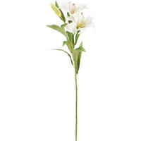 UMETNA ROŽA - zelena/krem barve, Basics, umetna masa/tekstil (78cm)