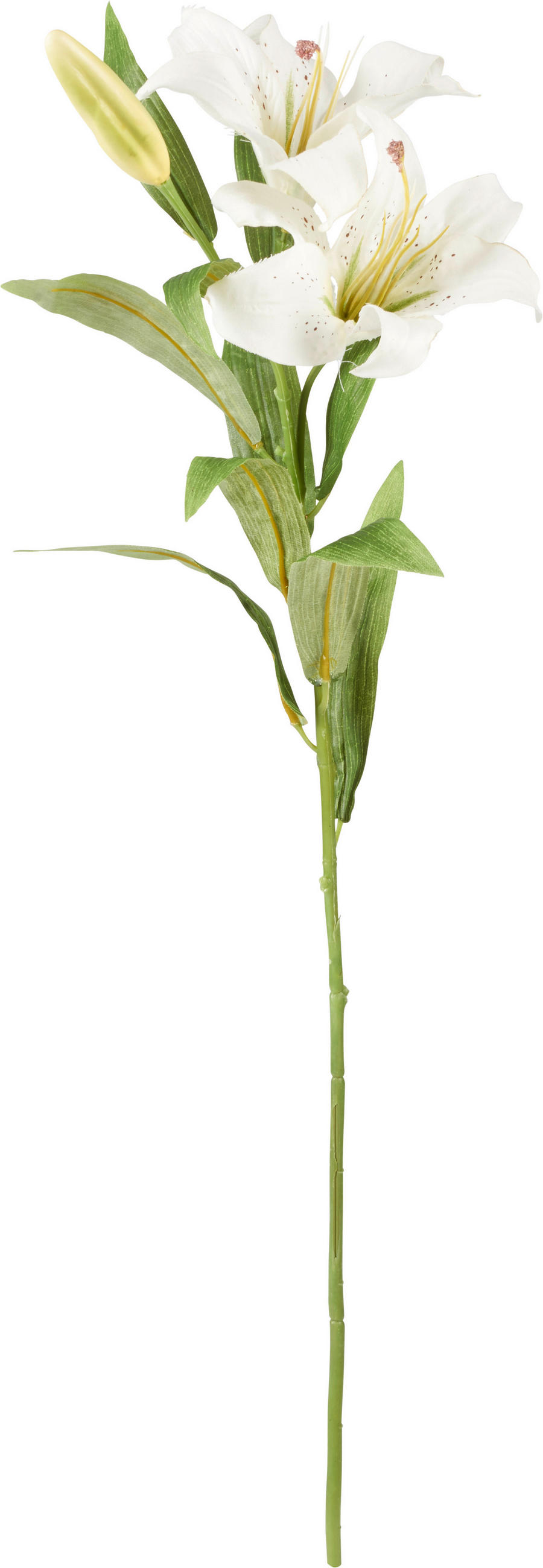 UMETNA ROŽA - zelena/krem barve, Basics, umetna masa/tekstil (78cm)
