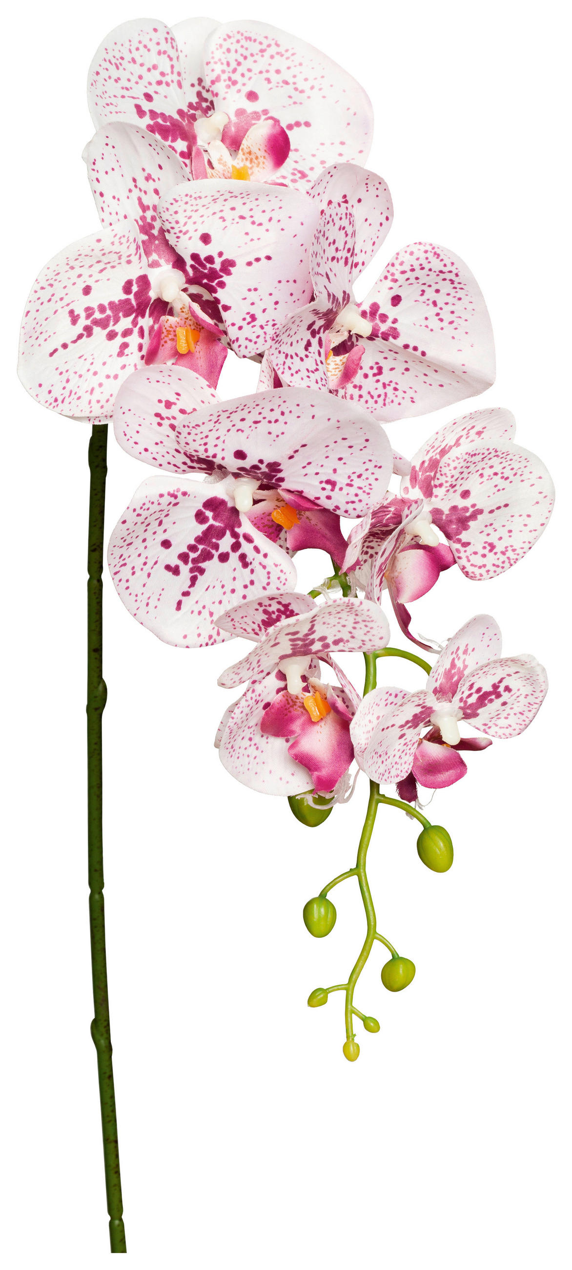 Kunstpflanze Orchidee Lila/ Weiß L: 86 Cm, Ria