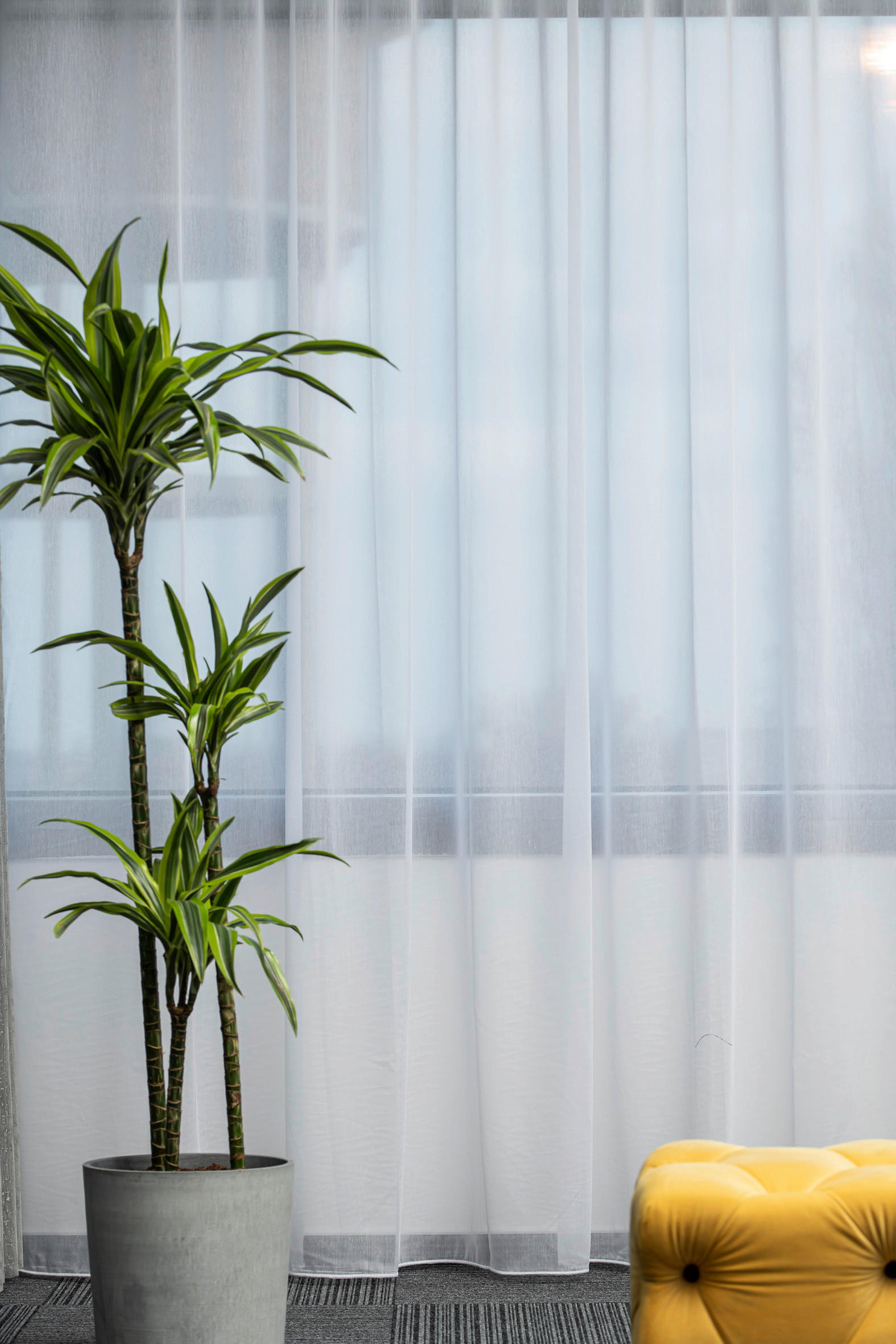 MATERIAL PERDELE ȘI DRAPERII  - alb, Basics, textil (330cm)