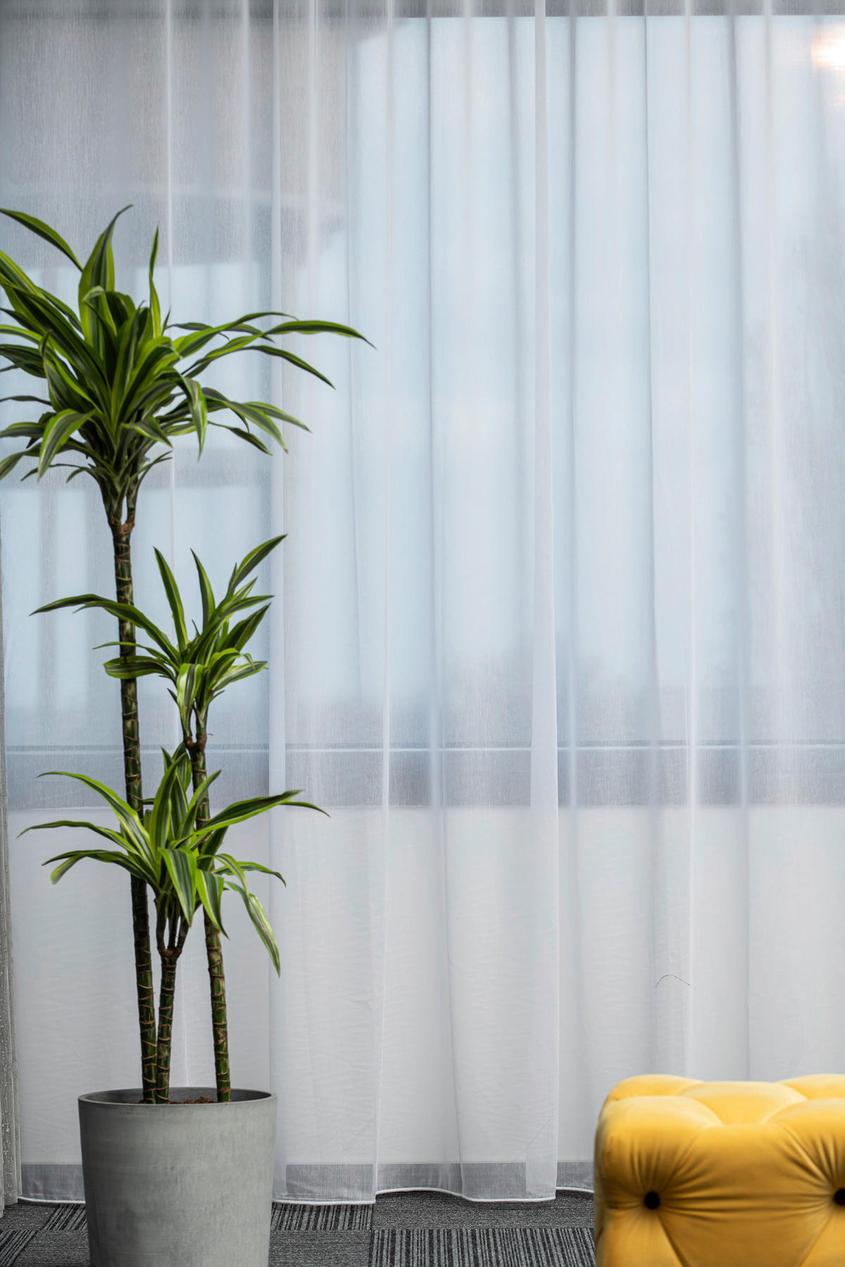 MATERIAL PERDELE ȘI DRAPERII  - alb, Basics, textil (330cm)