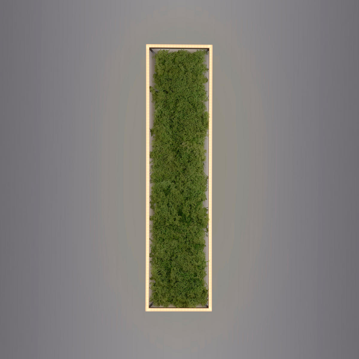 LED-DECKENLEUCHTE Green Knut 100/25/5,6 cm   - Natur, Naturmaterialien/Kunststoff (100/25/5,6cm)