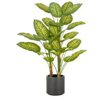KUNSTPFLANZE Dieffenbachia 100 cm  - Braun/Grau, Basics, Kunststoff (100cm) - P & B