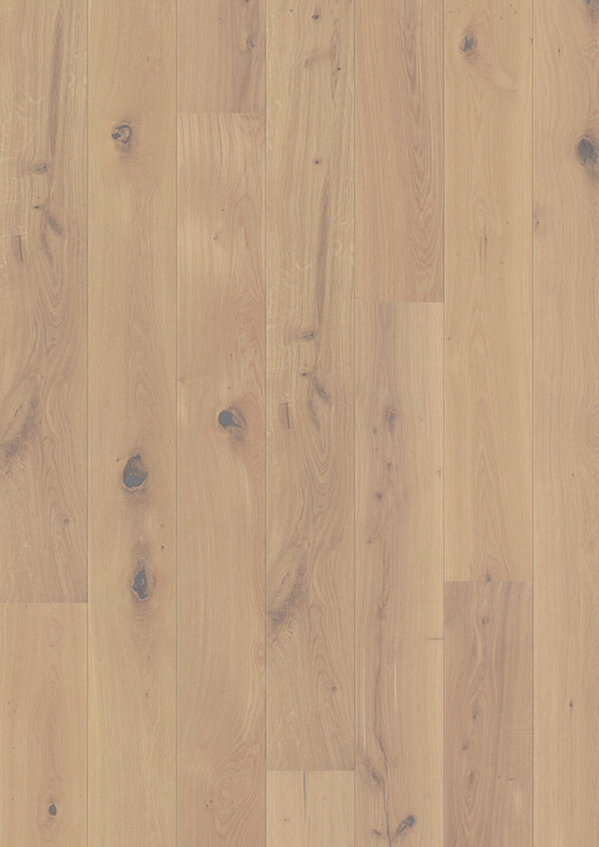 LANDHAUSDIELE Marcanto Trend Eiche weiss100012001  per  m² - Eichefarben, Trend, Holz (220,5/17,6/1,3cm) - Tilo