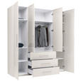 KLEIDERSCHRANK 196/219/59 cm,  in Kaschmir, 4-türig  - Kaschmir/Alufarben, KONVENTIONELL, Holzwerkstoff/Metall (196/219/59cm) - Carryhome